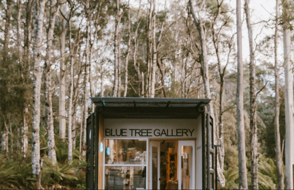 The Top half of Blue Tree Gallery (A 40ft Shipping Container) entrance Surrounded by tall gum trees and wattles and green ferns