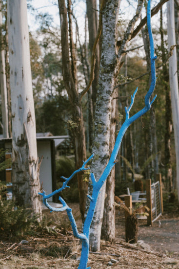 The small Blue painted tree overlooking the art gallery through the trees and ferns