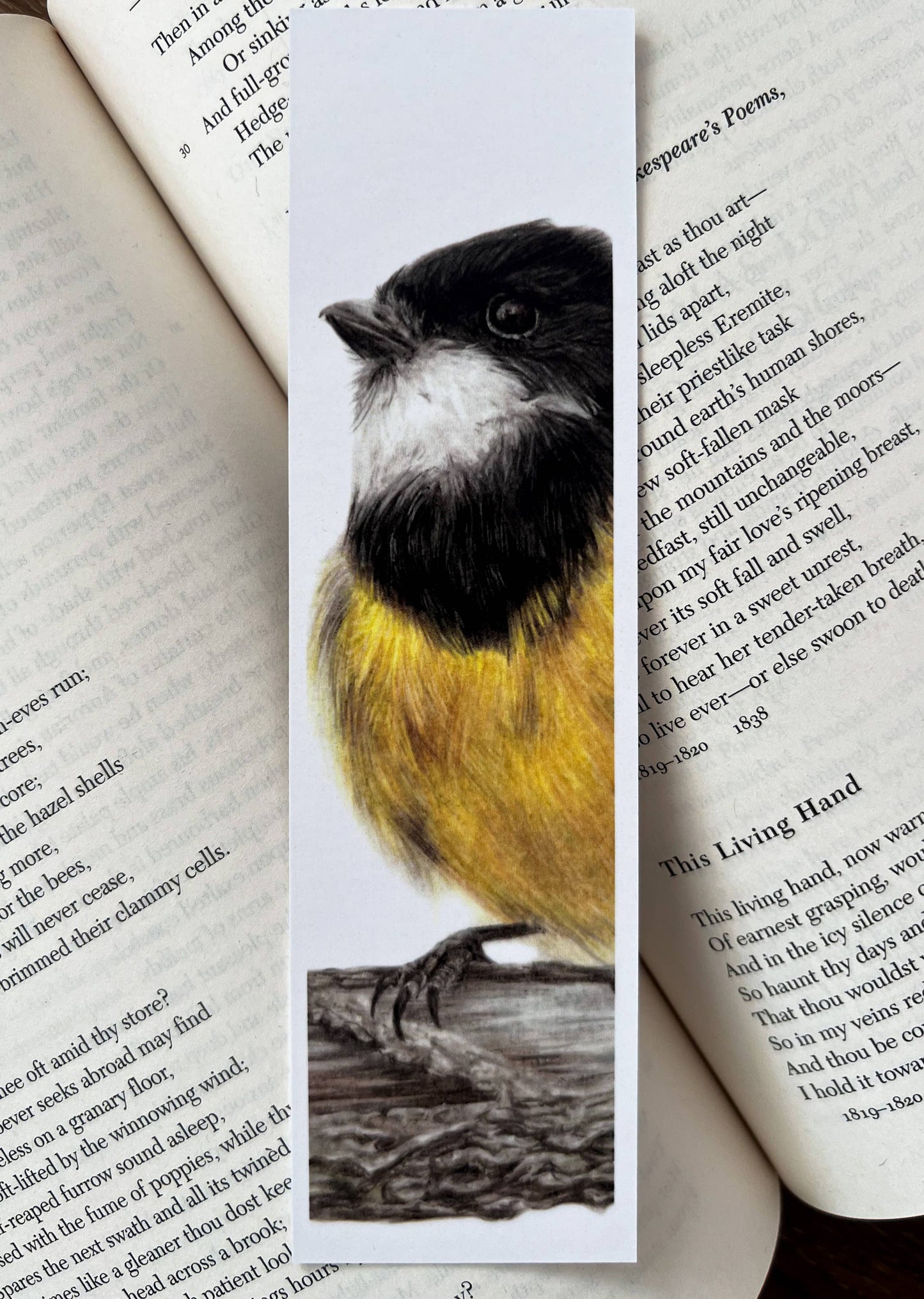 Bookmark - "Nothing Gold Can Stay" Golden Whistler by Jenna Chartrand - Blue Tree Gallery