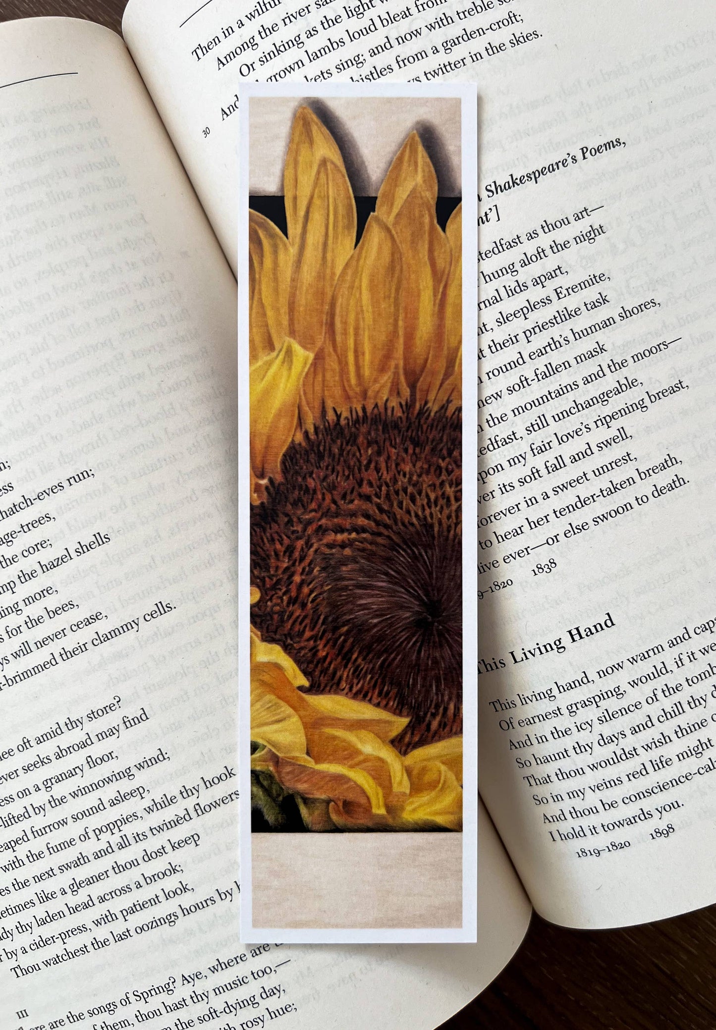 Bookmark - "Zenith" Sunflower by Jenna Chartrand - Blue Tree Gallery