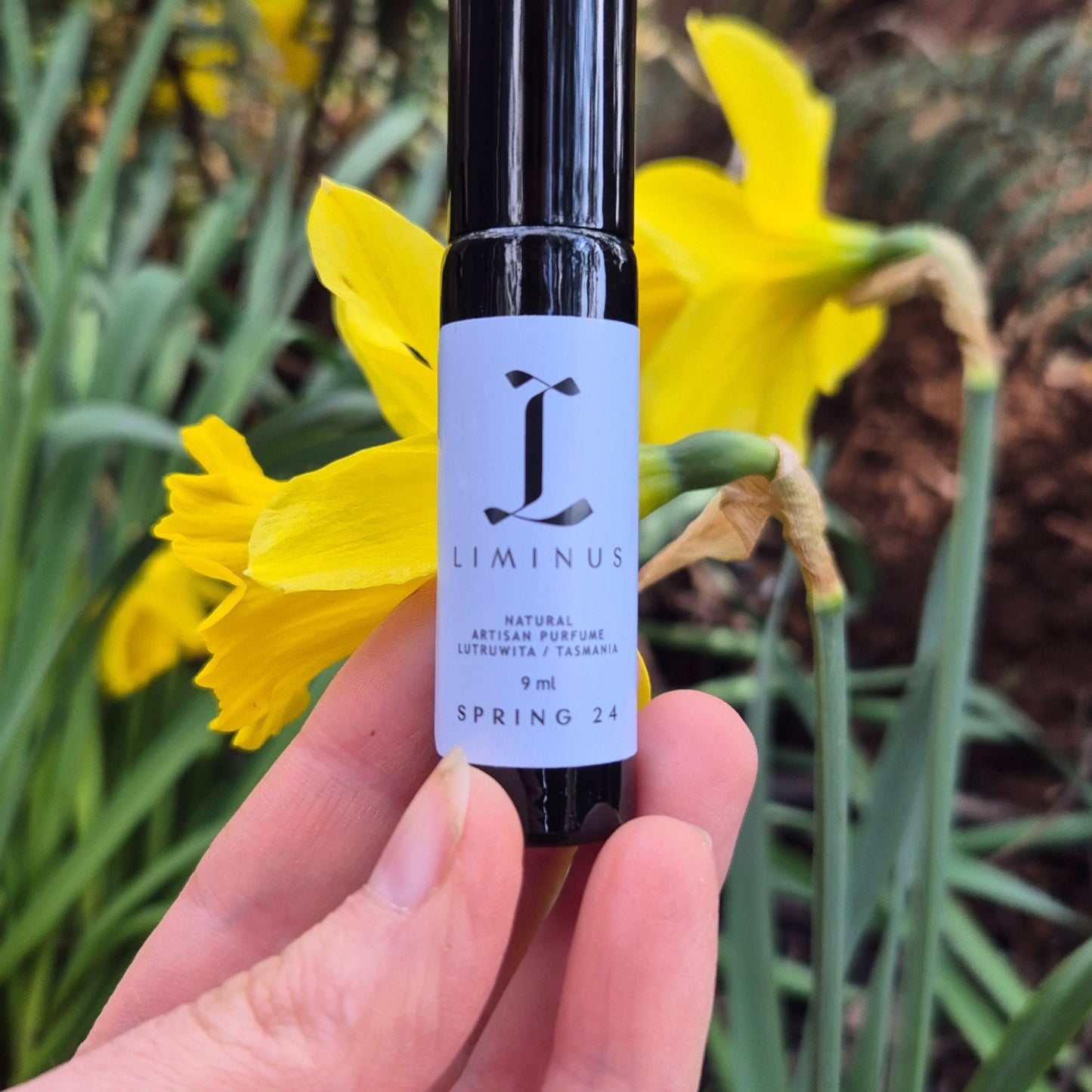 Perfume Roller - Spring 24 Limited Edition 9ml - Blue Tree Gallery