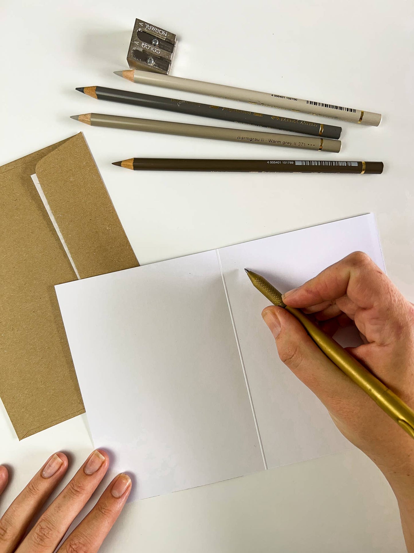 Greeting Card - "On The Brink" Tasmanian Devil by Jenna Chartrand - Blue Tree Gallery