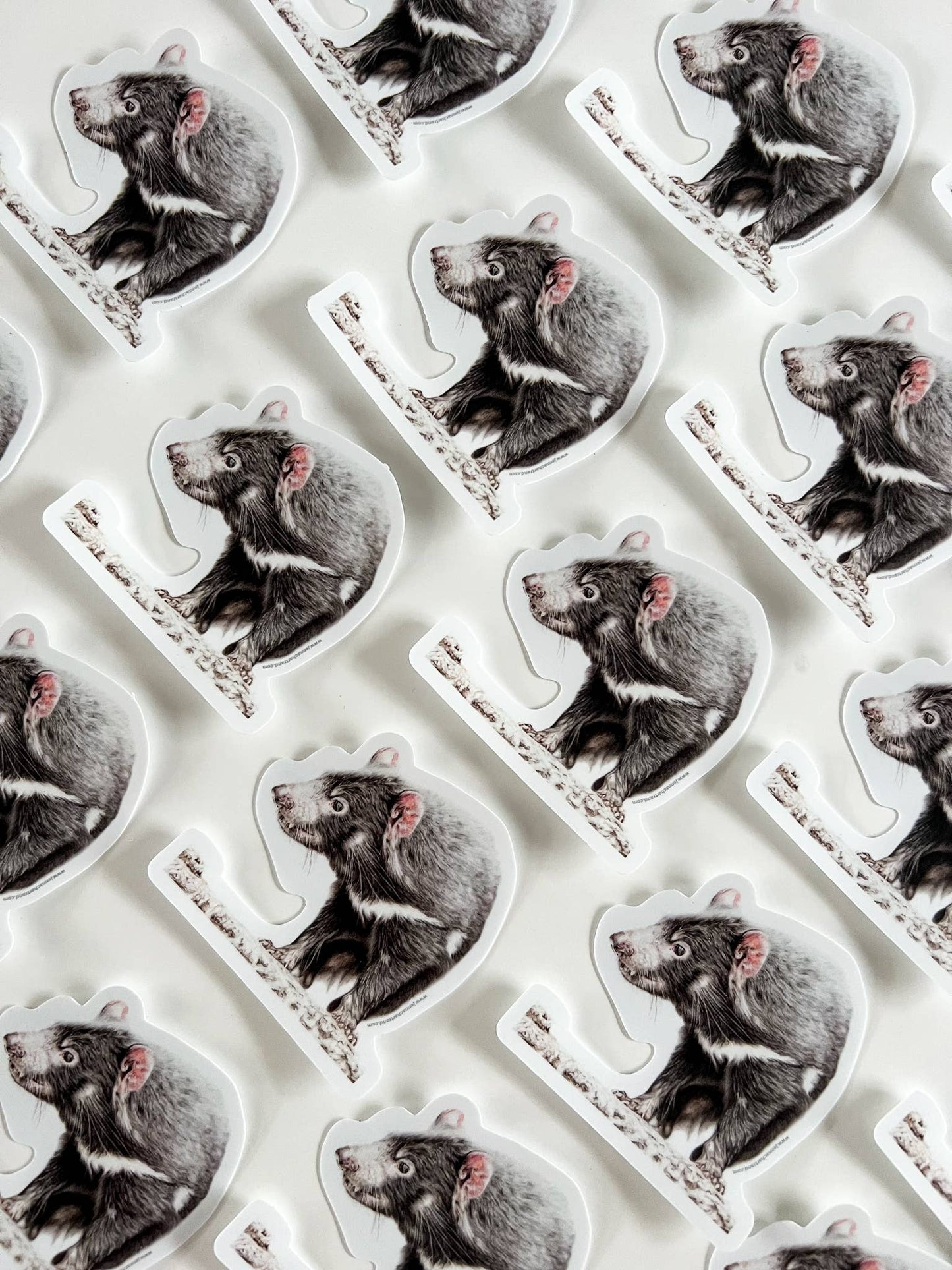 Sticker - "On The Brink" Tasmanian Devil by Jenna Chartrand - Blue Tree Gallery