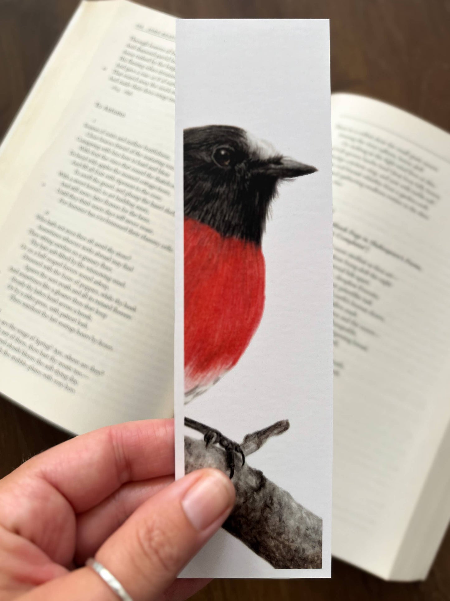 Bookmark - "Pause" Scarlet Robin by Jenna Chartrand - Blue Tree Gallery