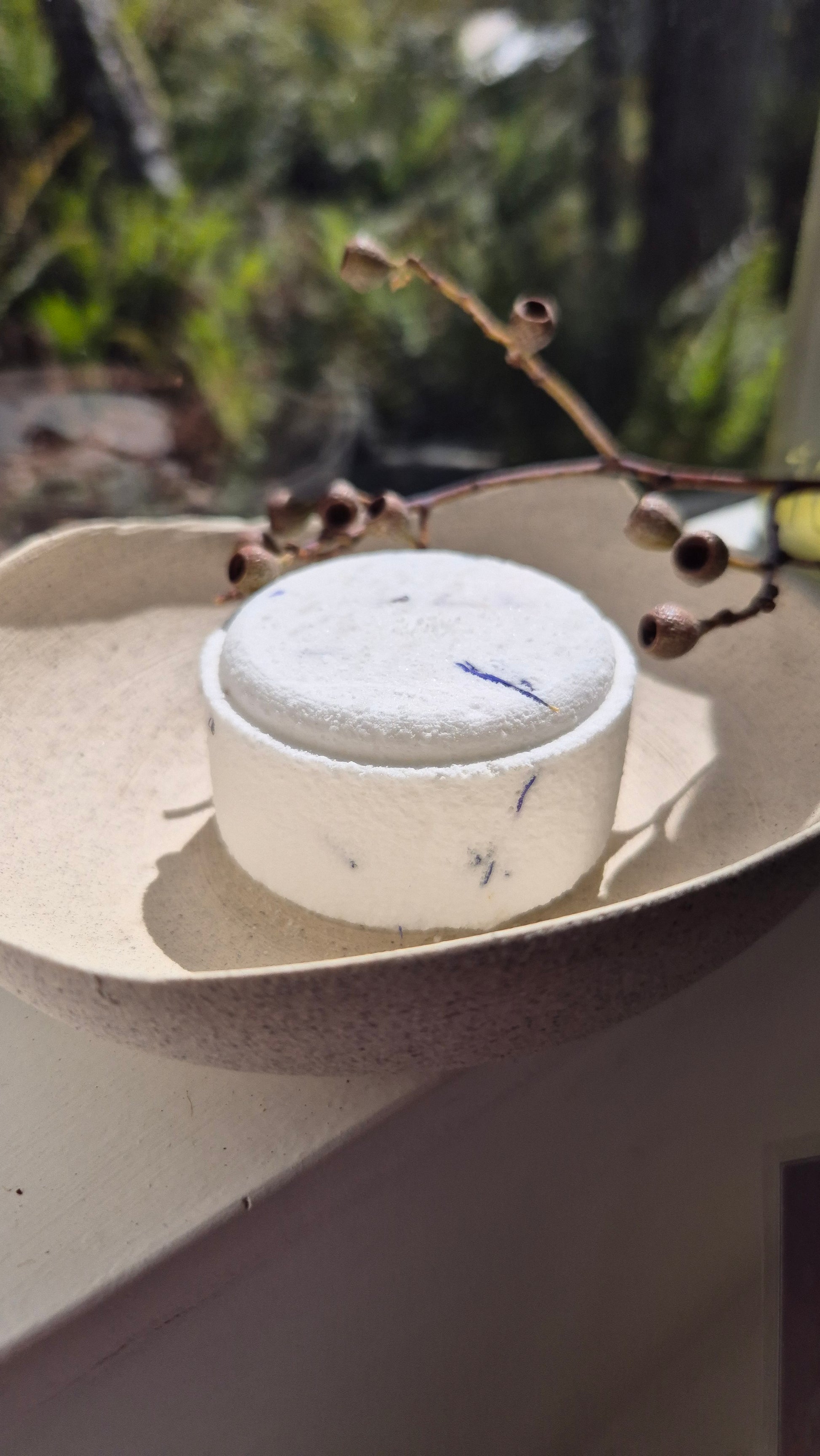 Botanical Bath Bombs - Blue Tree Gallery