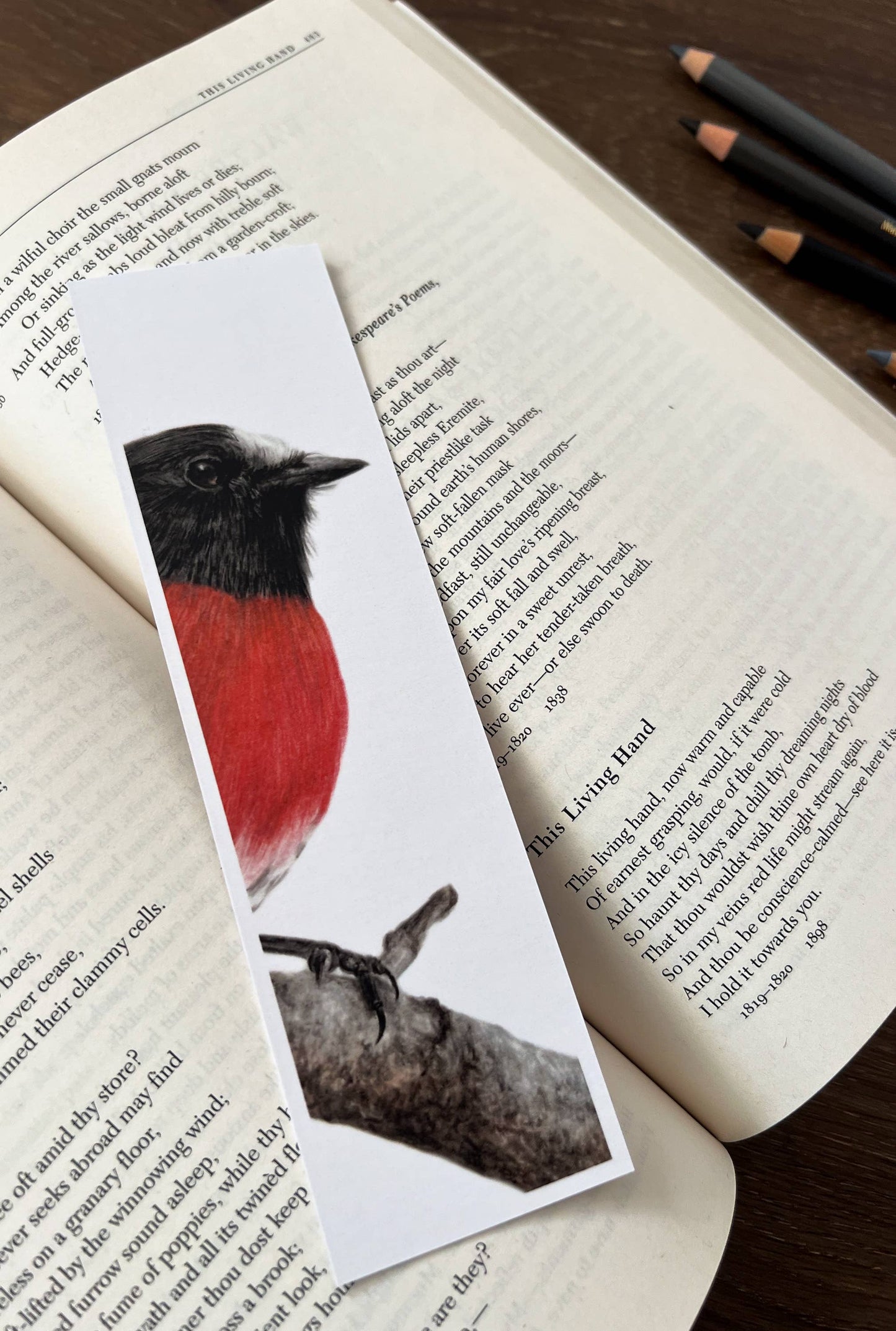 Bookmark - "Pause" Scarlet Robin by Jenna Chartrand