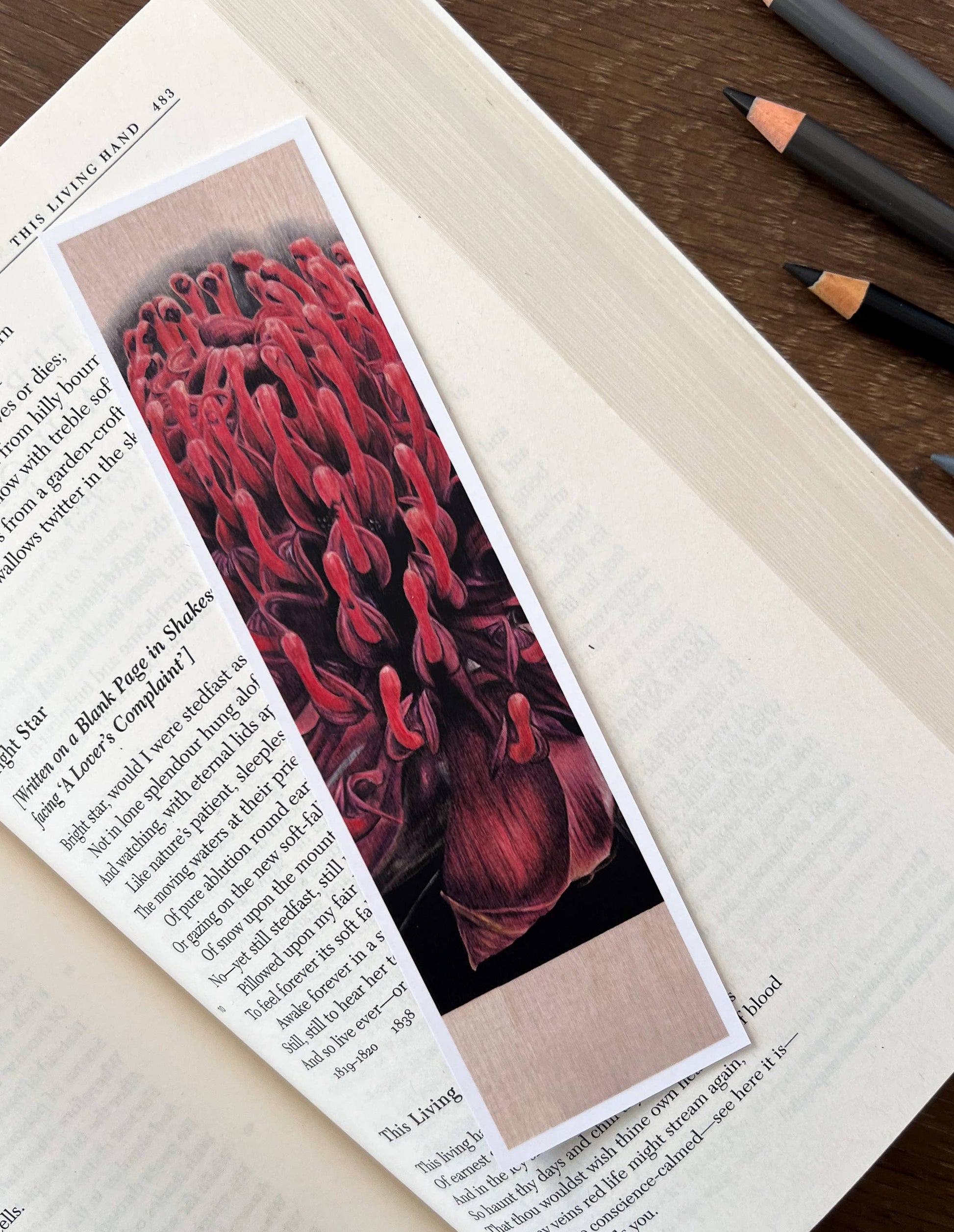 Bookmark - "Demure" Waratah by Jenna Chartrand - Blue Tree Gallery