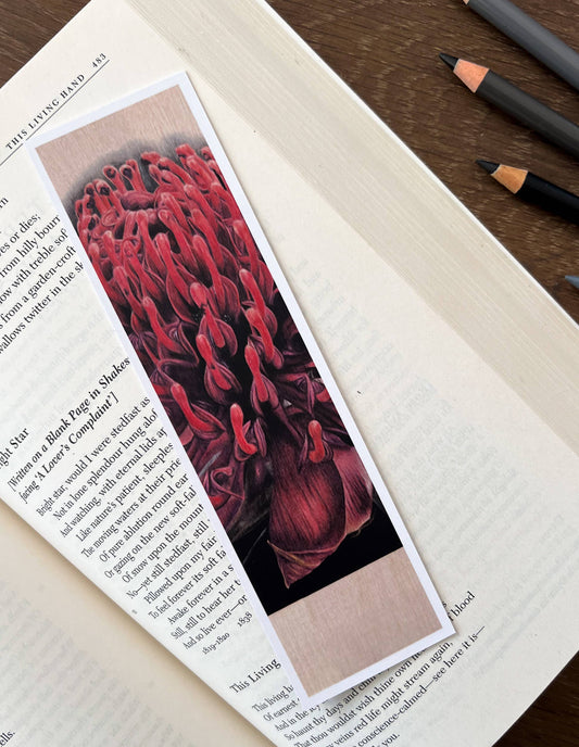 Bookmark - "Demure" Waratah by Jenna Chartrand - Blue Tree Gallery