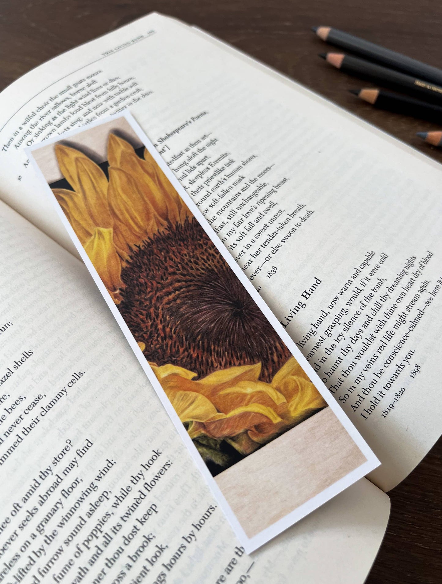 Bookmark - "Zenith" Sunflower by Jenna Chartrand - Blue Tree Gallery