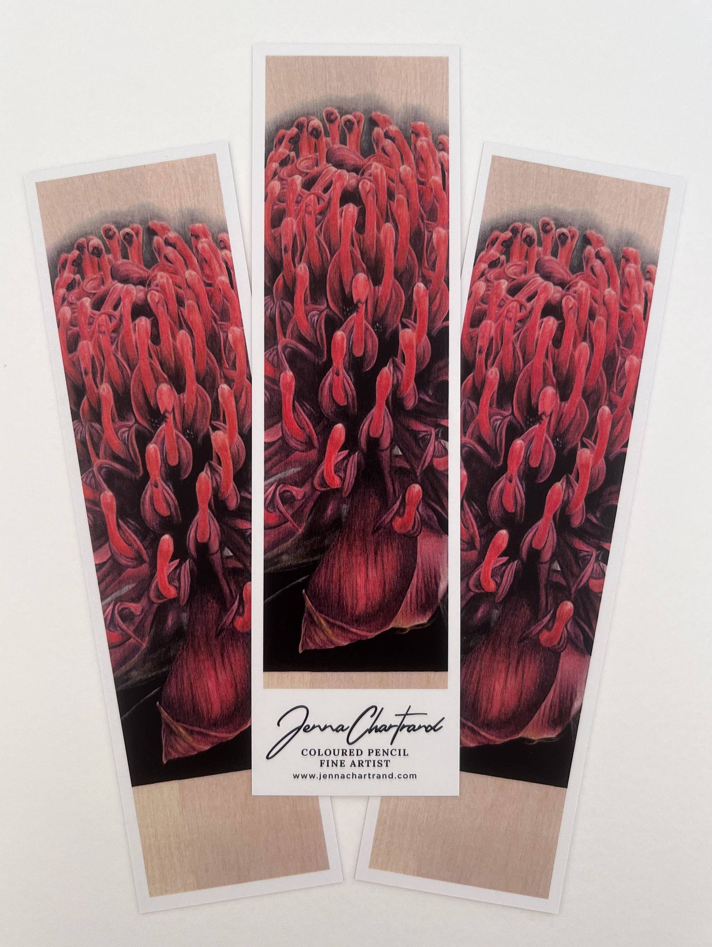 Bookmark - "Demure" Waratah by Jenna Chartrand - Blue Tree Gallery
