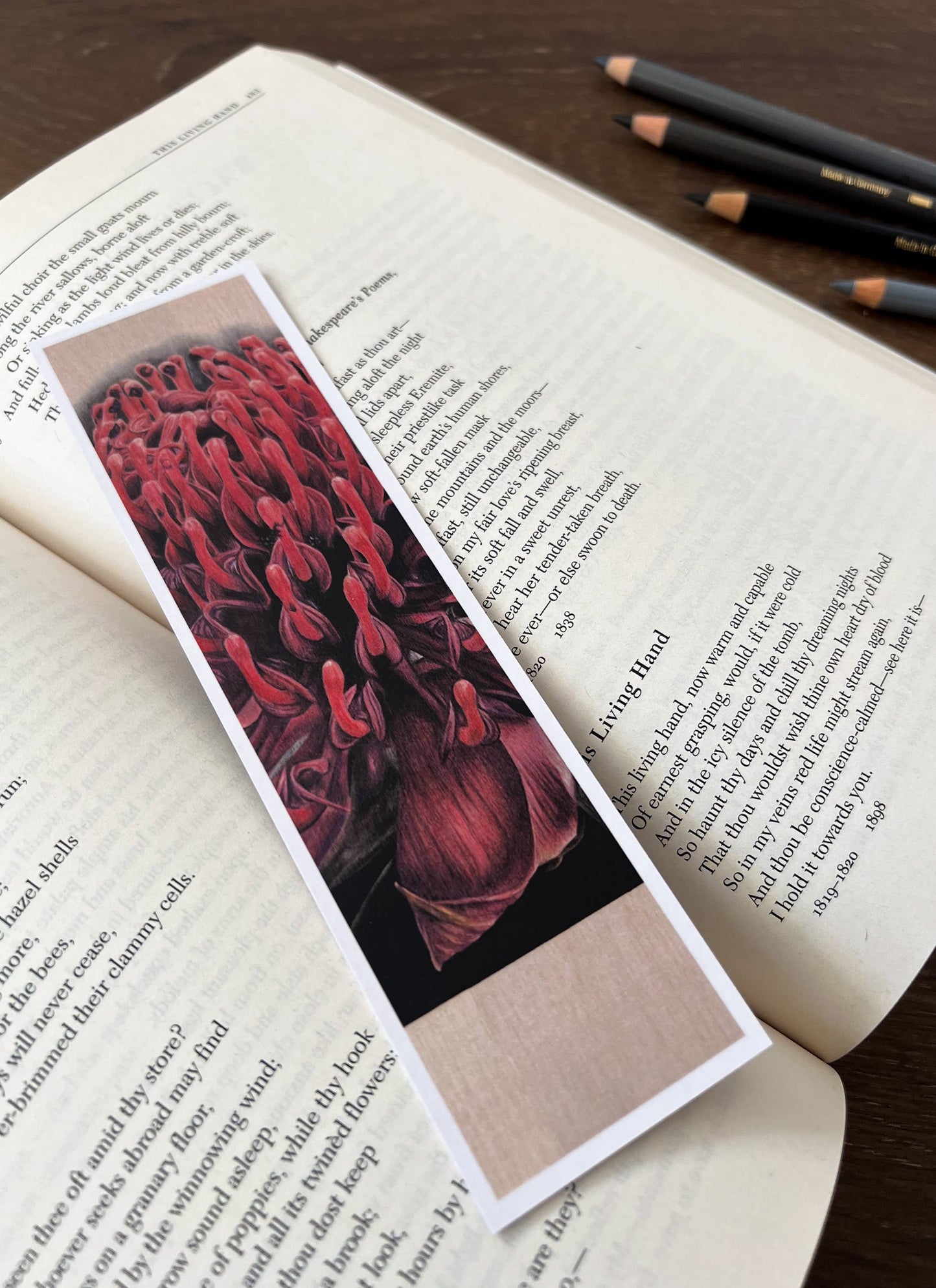 Bookmark - "Demure" Waratah by Jenna Chartrand - Blue Tree Gallery