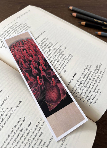 Bookmark - "Demure" Waratah by Jenna Chartrand - Blue Tree Gallery