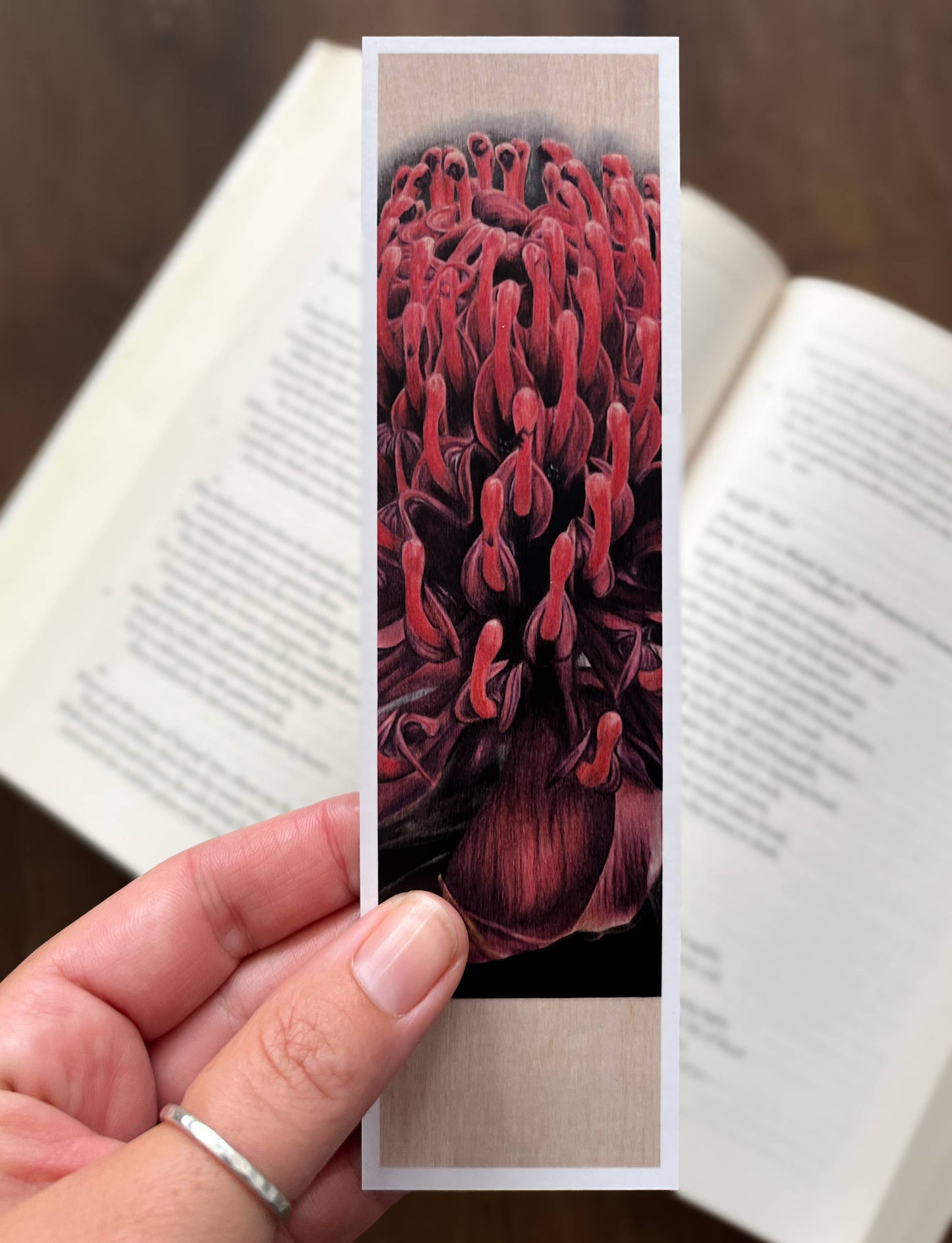 Bookmark - "Demure" Waratah by Jenna Chartrand - Blue Tree Gallery