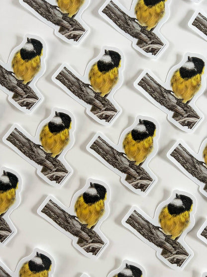 Sticker - "Nothing Gold Can Stay" Golden Whistler by Jenna Chartrand - Blue Tree Gallery