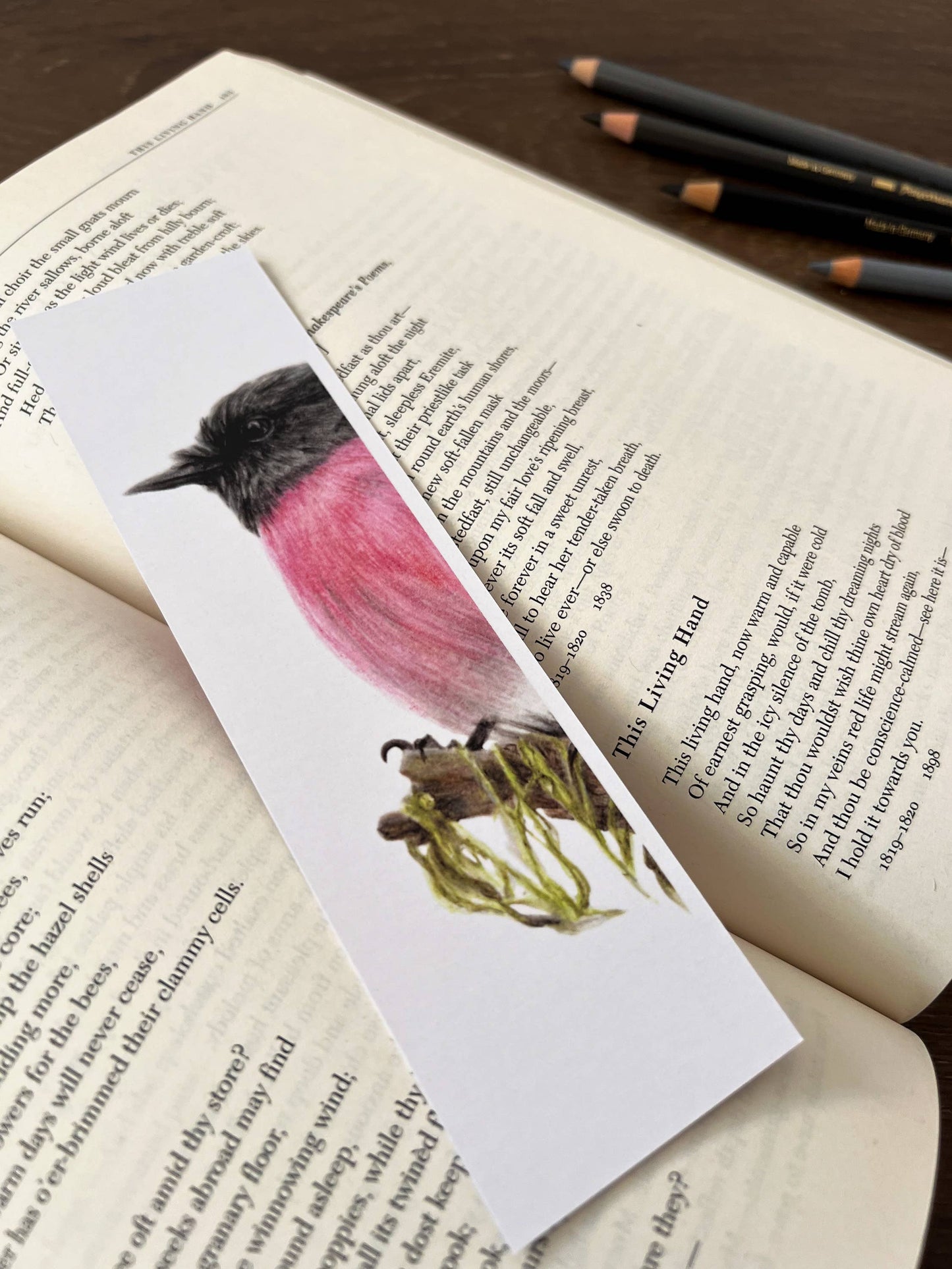 Bookmark - Pink Robin "Cerise" by Jenna Chartrand