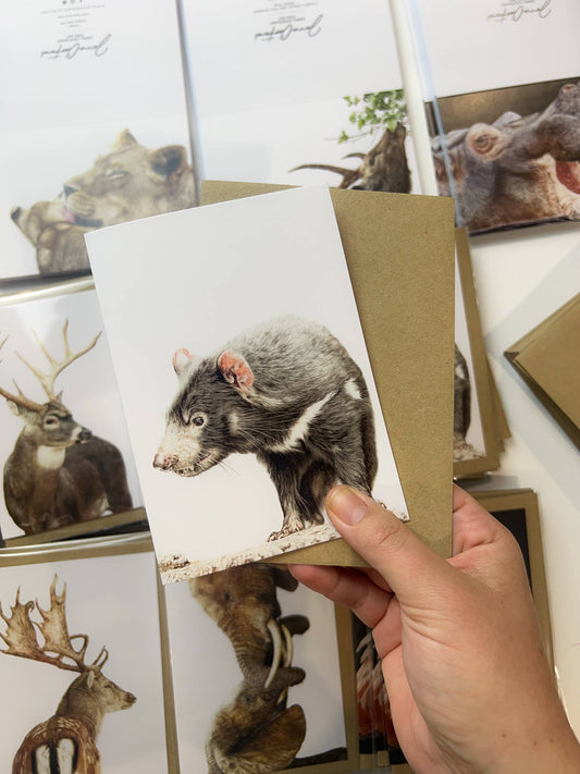 Greeting Card - "On The Brink" Tasmanian Devil by Jenna Chartrand - Blue Tree Gallery
